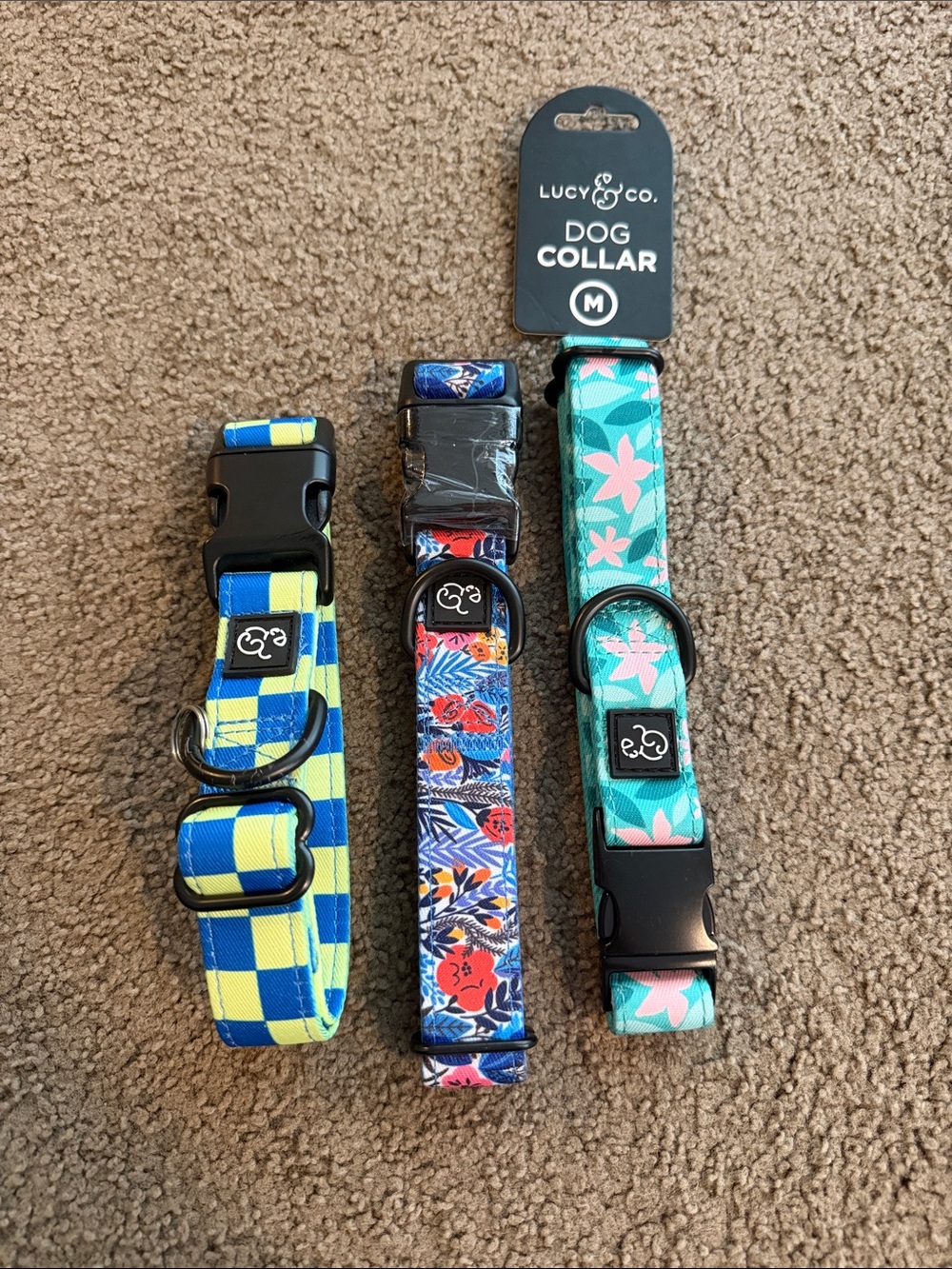 Lucy & Co. Medium Dog Collar Bundle